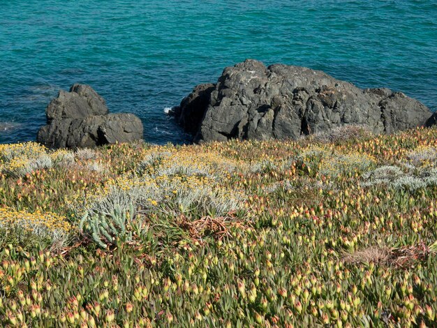 Foto ilha da córsega