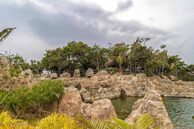 Ilha da selva chinesa de Hainan