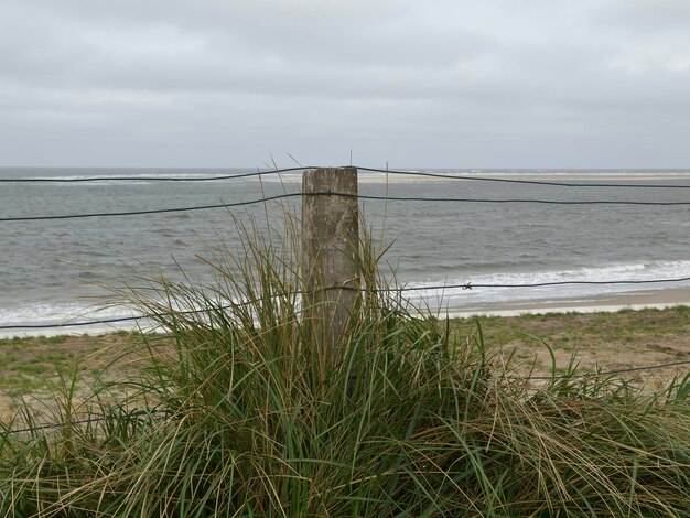 Foto ilha de borkum