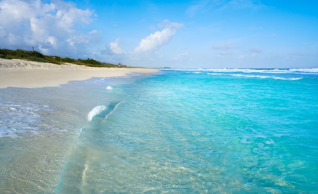 Ilha de cozumel, san martin, no méxico