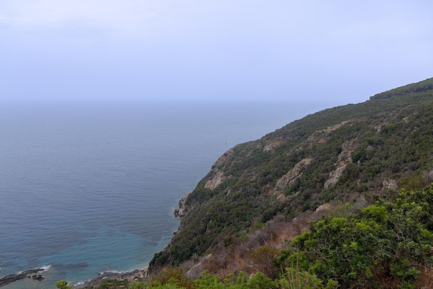Ilha de Elba com colinas, falésias, densa floresta de carvalhos e castanheiros, província de Livorno, Itália