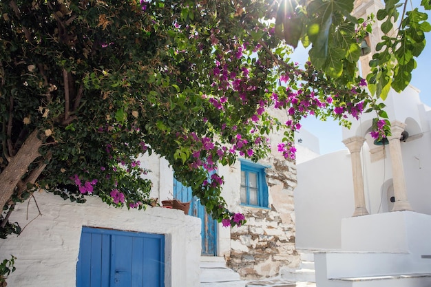 Ilha de Grécia Tinos da arquitetura das Cíclades de arte na aldeia de Pyrgos
