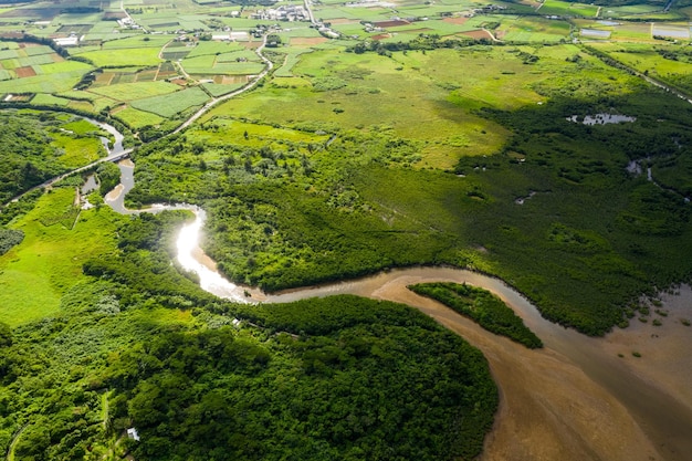 Ilha de japão ishigaki, belo campo