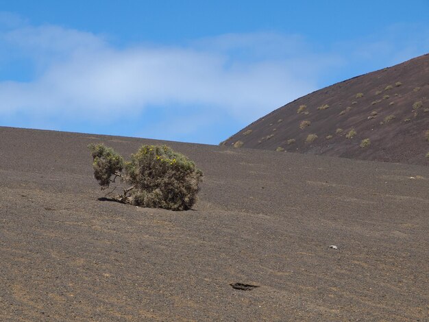 Foto ilha de lanazarote