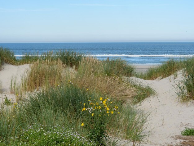 Ilha de Langeoog