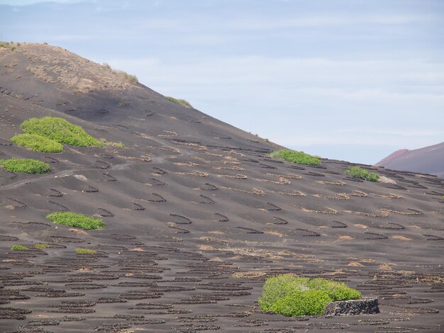 Foto ilha de lanzaote, na espanha