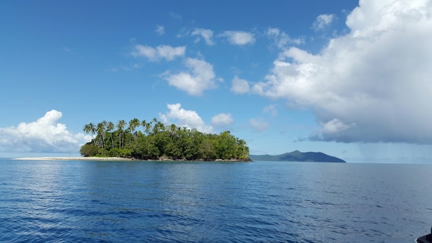 Foto ilha de palmeiras da floresta cercada por água azul