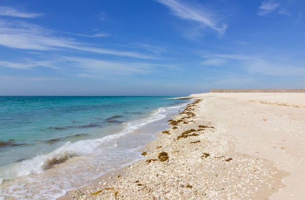 Ilha de Sir Baniyas. Praia com paisagem de céu azul