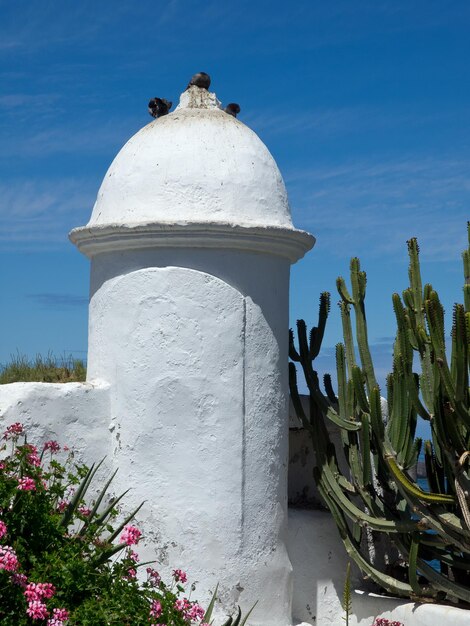 Foto ilha de tenerife