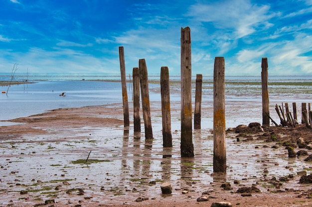 Ilha de texel - holanda - northsea wadden