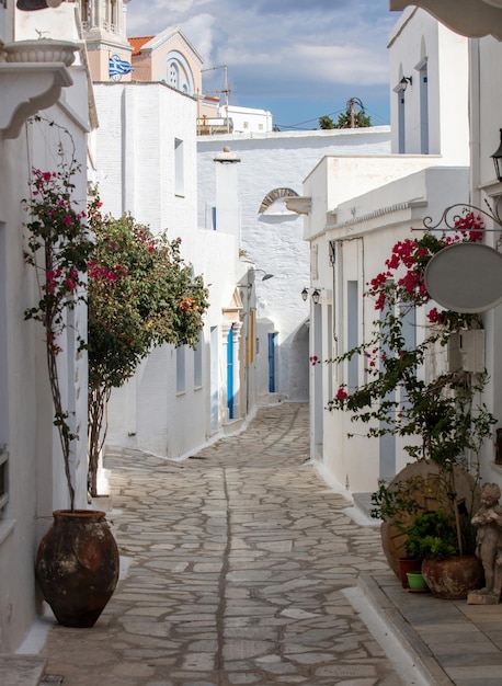 Ilha de Tinos Grécia Arquitetura das Cíclades na vila de Pyrgos Beco pavimentado buganvília rosa