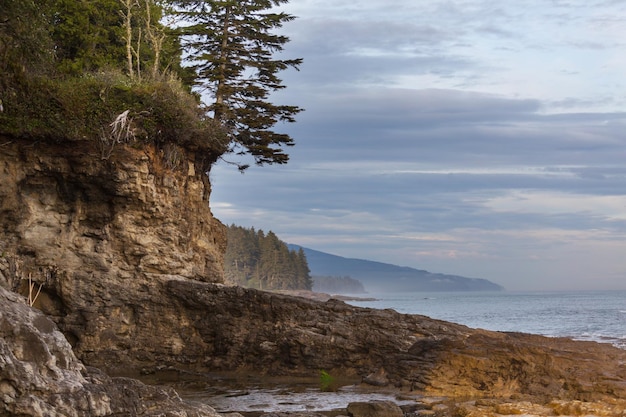 Ilha de Vancouver