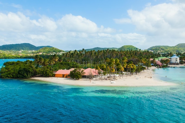 Ilha do Caribe, Martinica, Polinésia Francesa, com lindas praias de água turquesa e palmeiras