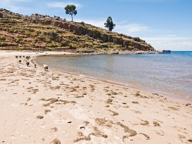 Ilha do Taquile do Lago Titicaca Peru