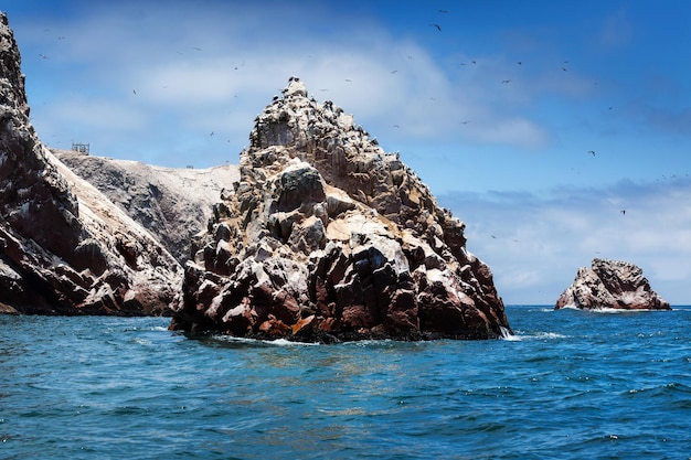 Ilha e pássaros em dia ensolarado