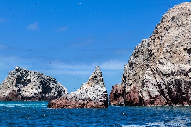 Ilha e pássaros em dia ensolarado