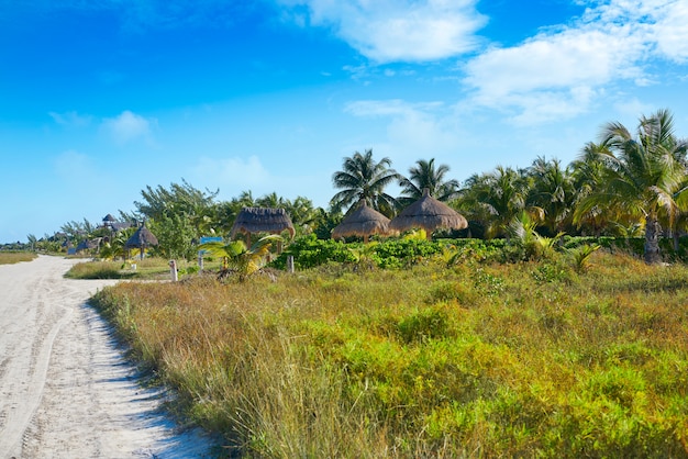 Ilha Holbox em Quintana Roo México