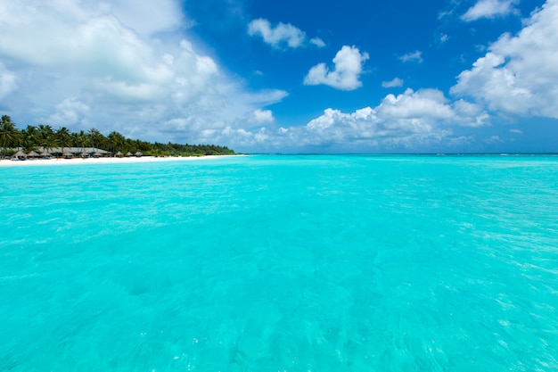 Ilha Maldivas com praia de areia branca e mar praia tropical