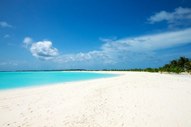Ilha Maldivas com praia de areia branca e mar