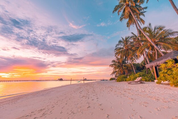 Ilha Palmeira mar areia praia Panorâmica paisagem de praia Inspirar praia tropical paisagem marinha horizonte