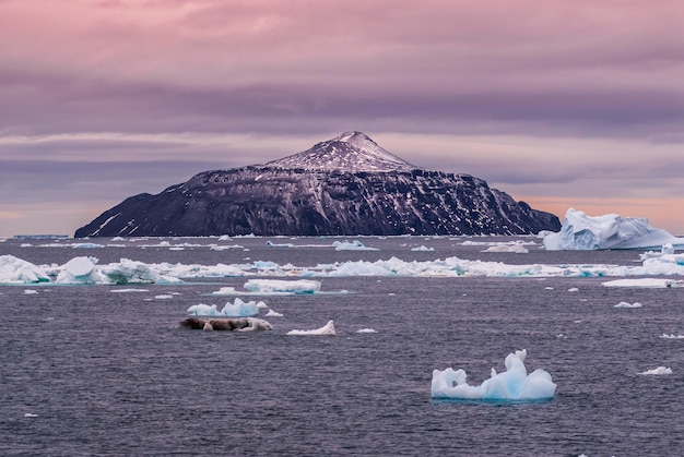 Ilha Paulet Paisagem Península Antártica Antártica