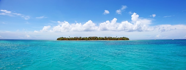 Ilha tropical com palmeiras e vista panorâmica da praia como pano de fundo