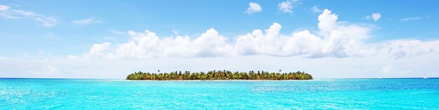 Ilha tropical com palmeiras e vista panorâmica da praia como pano de fundo