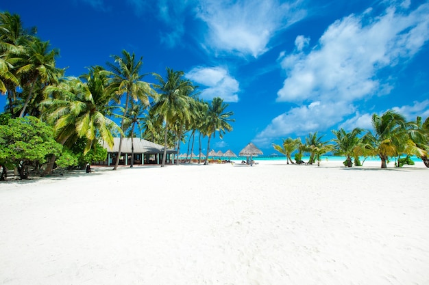 Ilha tropical das Maldivas com praia de areia branca e mar