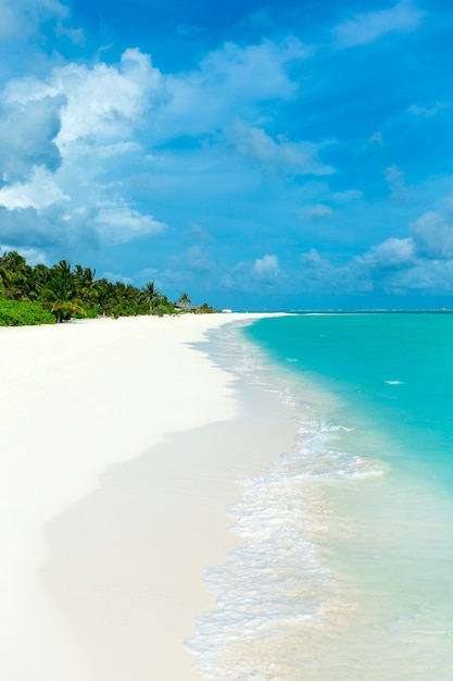 Ilha tropical das maldivas com praia de areia branca e mar