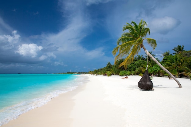 Ilha tropical das maldivas com praia de areia branca e mar