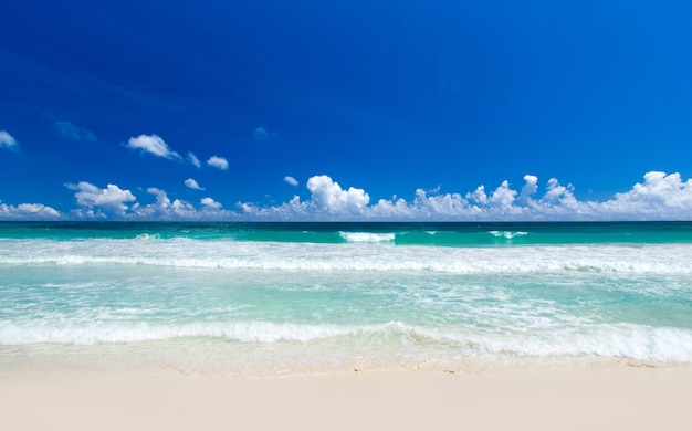 Ilha tropical das Maldivas com praia de areia branca e mar