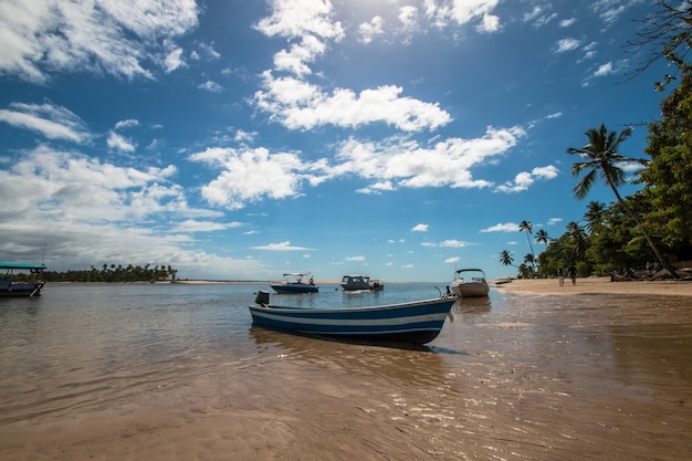 Ilha tropical de Boipeba no nordeste do Brasil na Bahia.