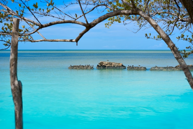 Ilha tropical de Holbox em Quintana Roo México