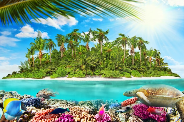 Ilha tropical dentro de um atol no oceano tropical e maravilhoso e belo mundo subaquático com corais e peixes tropicais.