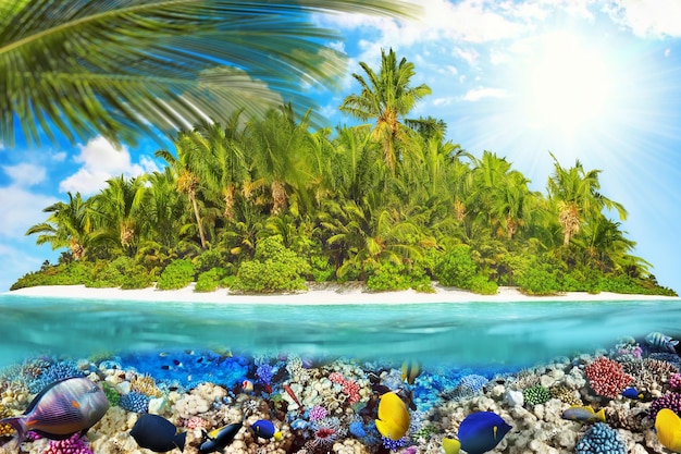 Ilha tropical dentro de um atol no oceano tropical e maravilhoso e belo mundo subaquático com corais e peixes tropicais.