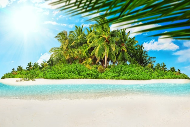 Ilha tropical inteira dentro de um atol no oceano índico. ilha subtropical desabitada e selvagem com palmeiras. areia em branco em uma ilha tropical.