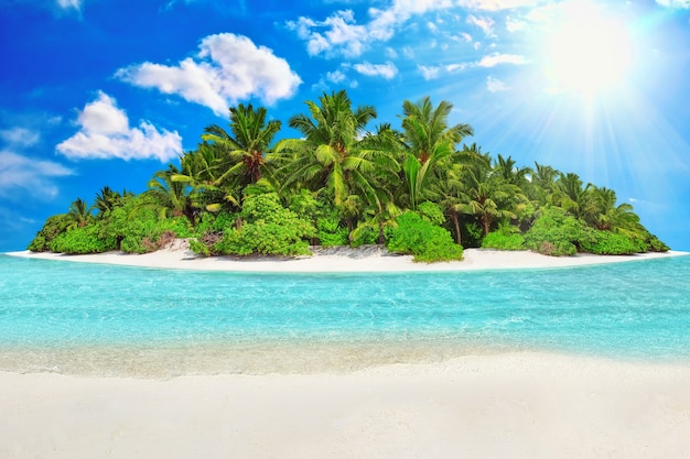 Ilha tropical inteira dentro de um atol no Oceano Índico. Ilha subtropical desabitada e selvagem com palmeiras. Areia em branco em uma ilha tropical.