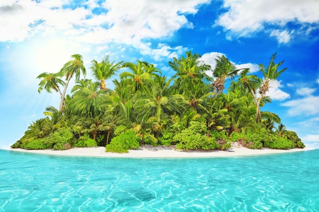 Ilha tropical inteira dentro de um atol no oceano tropical em um dia de verão. Ilha subtropical desabitada e selvagem com palmeiras. Parte equatorial do oceano, resort em uma ilha tropical.