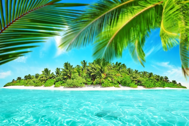 Ilha tropical inteira dentro de um atol no oceano tropical. Ilha subtropical desabitada e selvagem com palmeiras. Parte equatorial do oceano, resort em uma ilha tropical.