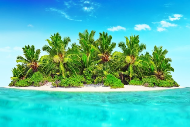 Ilha tropical inteira dentro de um atol no oceano tropical. Ilha subtropical desabitada e selvagem com palmeiras. Parte equatorial do oceano, resort em uma ilha tropical.