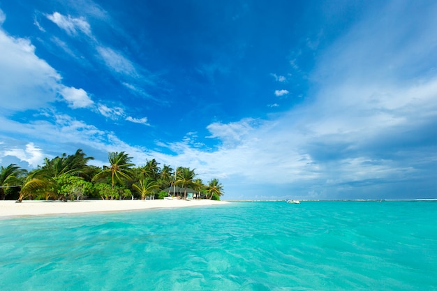 Ilha tropical Maldivas com praia de areia branca e mar