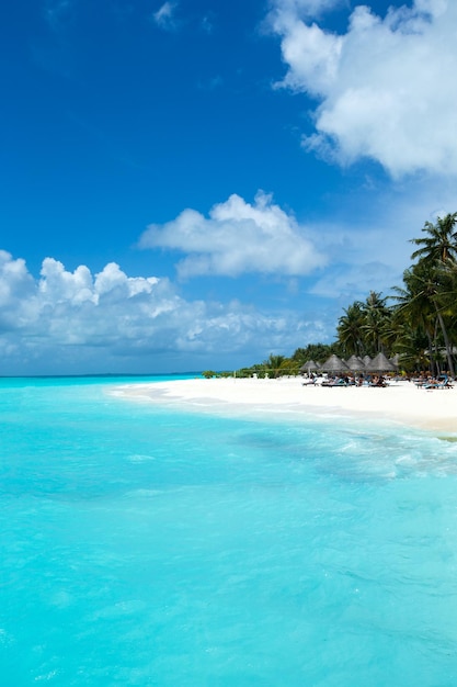 Ilha tropical Maldivas com praia de areia branca e mar