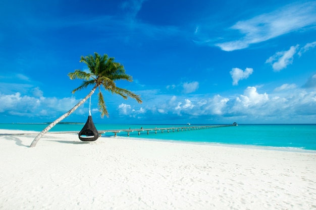 Ilha tropical Maldivas com praia de areia branca e mar
