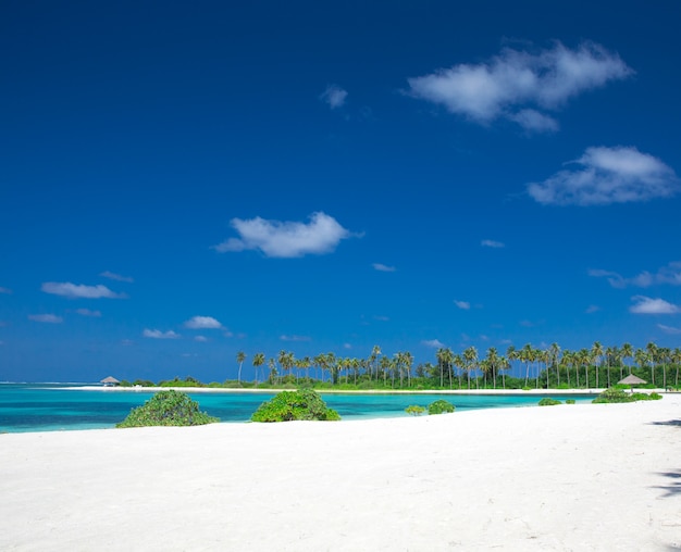 Ilha tropical Maldivas com praia de areia branca e mar