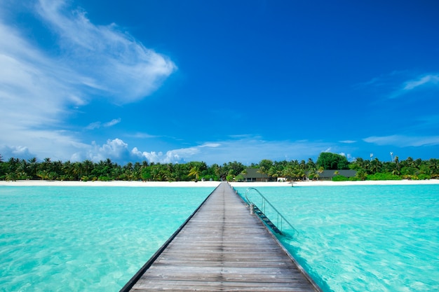 Ilha tropical Maldivas com praia de areia branca e mar