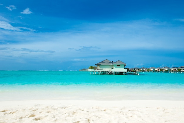 Ilha tropical Maldivas com praia de areia branca e mar