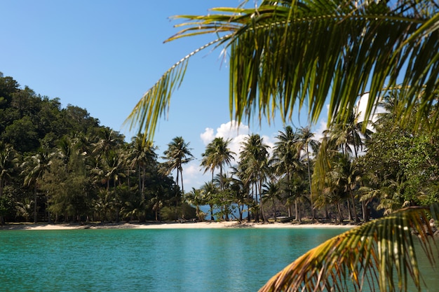 Foto ilha tropical na praia do mar com coqueiros