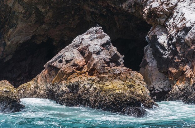 Ilhas Ballestas Paracas Ica Peru