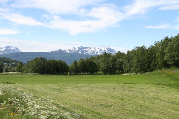 Ilhas de Kvaloya e Senja Noruega