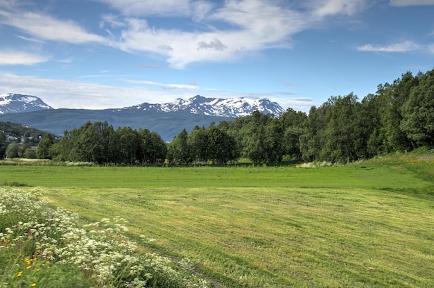 Ilhas de Kvaloya e Senja Noruega